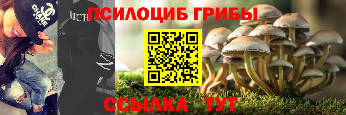 Псилоцибиновые грибы MAGIC MUSHROOMS  Псилоцибиновые грибы Psilocybine cubensis  Красноармейск  купить  цена  Вход с VPN 